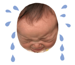 317569642