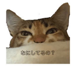 317578802