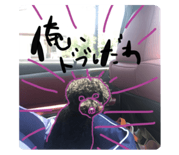 317584781