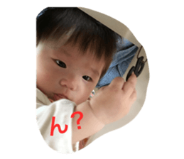 317652938