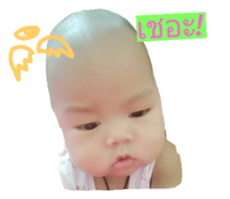 31767641