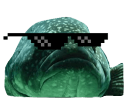 31771311