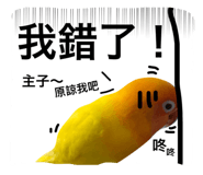 31774892