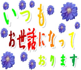 317834334