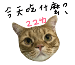 31788058