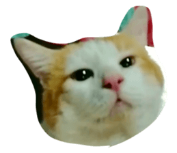 317899491