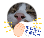 317935241