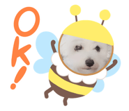 317936807