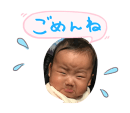 31794031