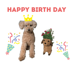 317965804