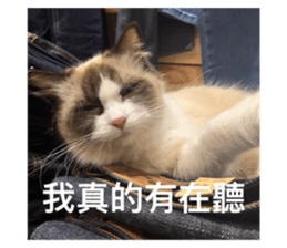 317976538