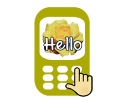 31820176
