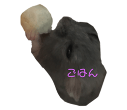 318239978