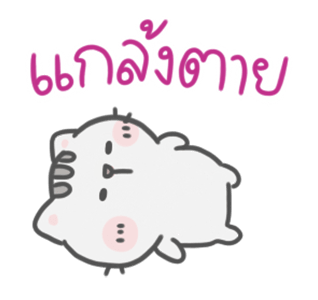 ลายที่ 5