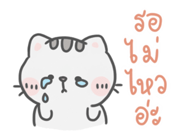 ลายที่ 13