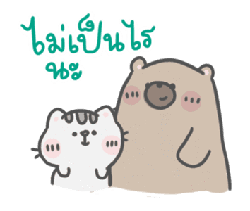 ลายที่ 23