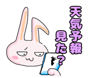 318387066
