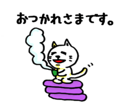3184554