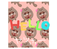 31863556