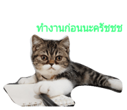 31877305