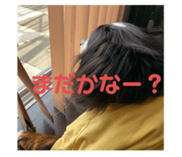 318842730