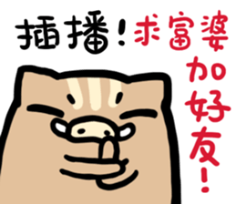 319012933