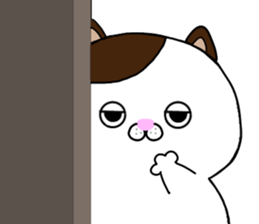 319062931