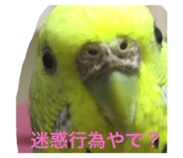 319071774