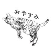 319126299