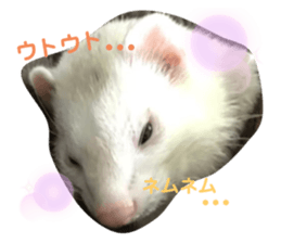 319137624