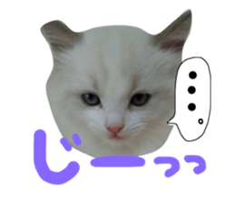 31917224
