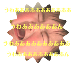 319366707