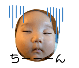319372450