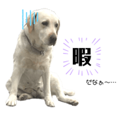 319475650