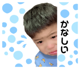 319520675