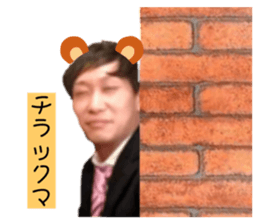 319522294