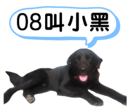 319759013