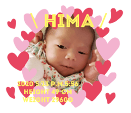 319783531