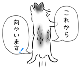 31985506
