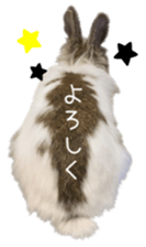 31991305