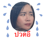 319915871