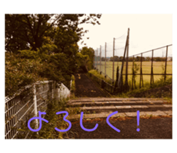 319993235
