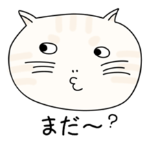 320003263