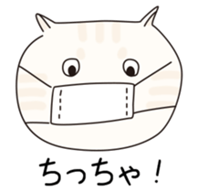 320003264
