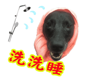 320071713