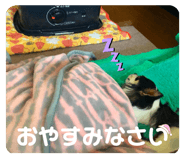 320100293