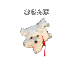 320118300