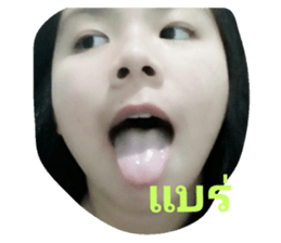 32013684