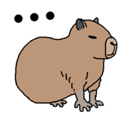 320171995