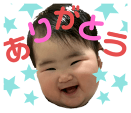 320175944